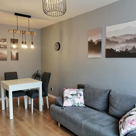 Apartament W Centrum شتشيتسين المظهر الخارجي الصورة